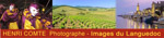 Logo de henricomte.com