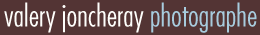 Logo de vjoncheray.fr