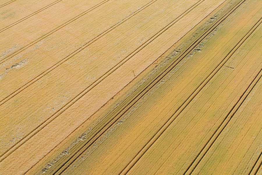 00agri-centre-8-0704