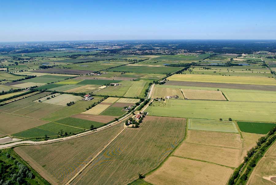 00agriculture-1-0605