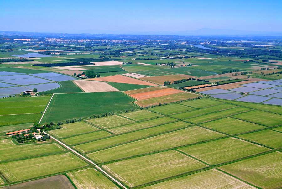 00agriculture-17-0506