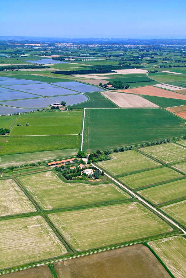 00agriculture-19-0506