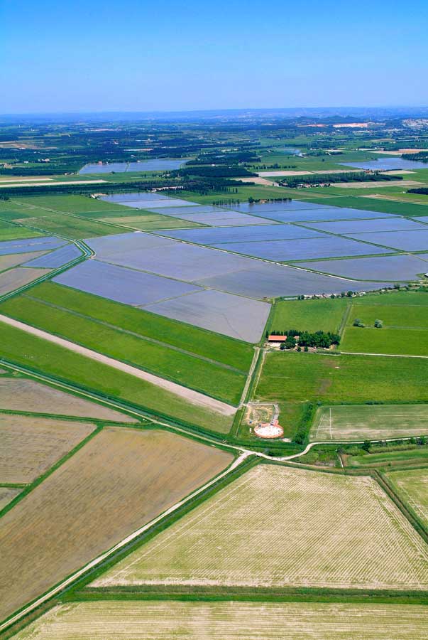 00agriculture-20-0506