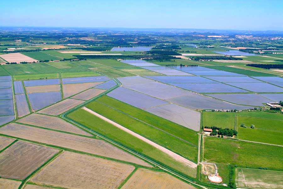 00agriculture-21-0506