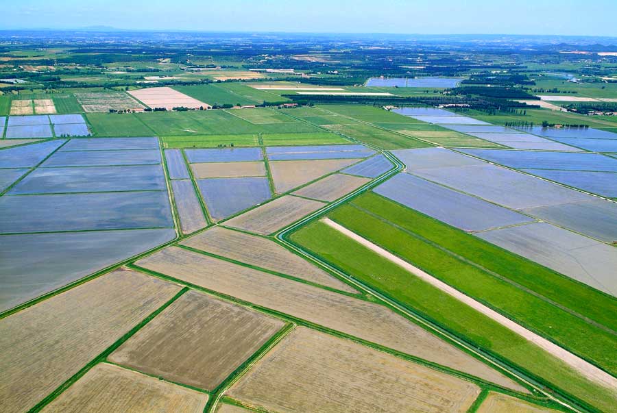 00agriculture-22-0506