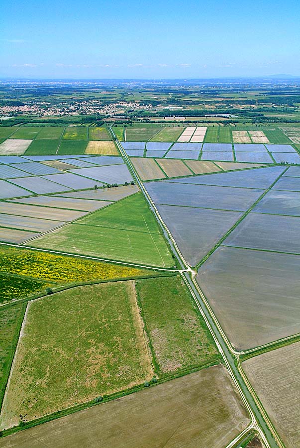 00agriculture-24-0506
