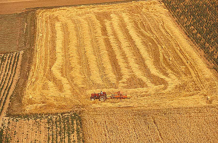 00agriculture-3-e