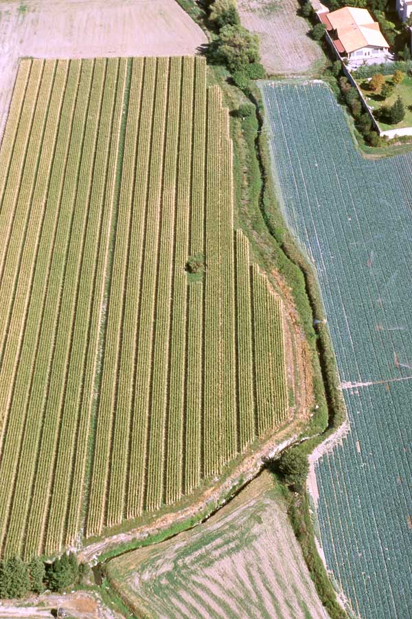 00agriculture-9-e04