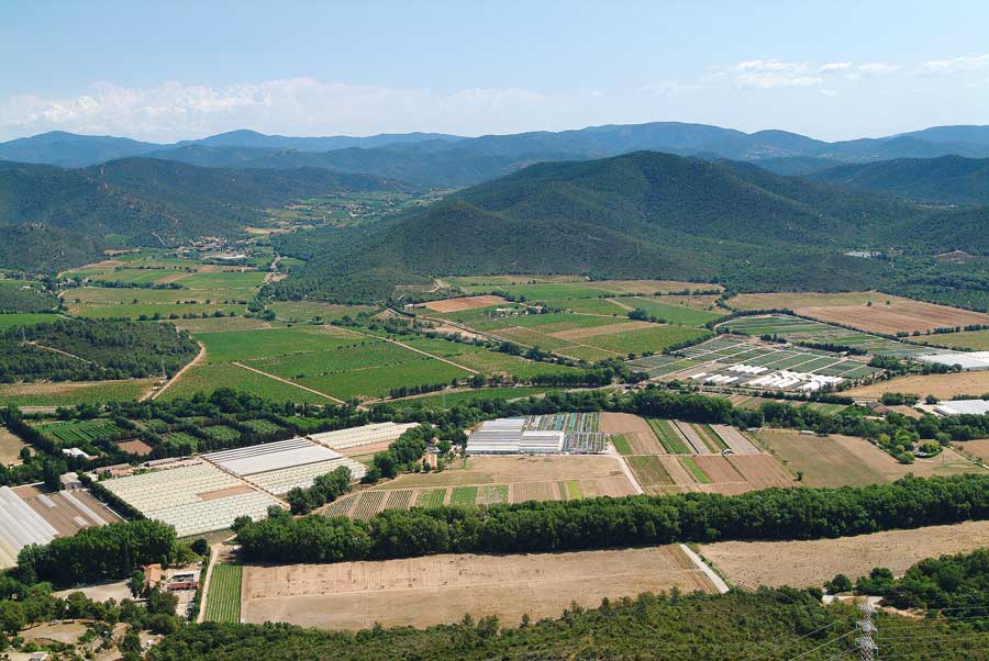 00agriculture-var-15-0704
