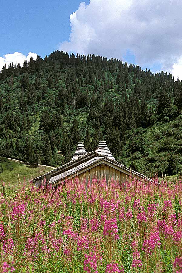 00alpes-chalet-16-e