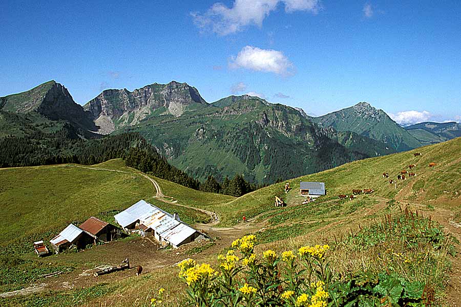 00alpes-chalet-19-e