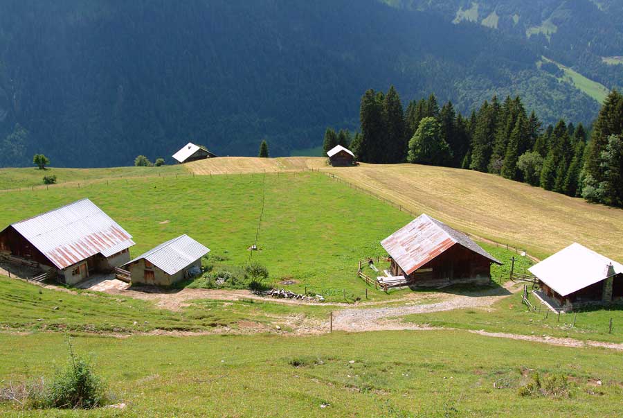 00alpes-chalet-7-0804