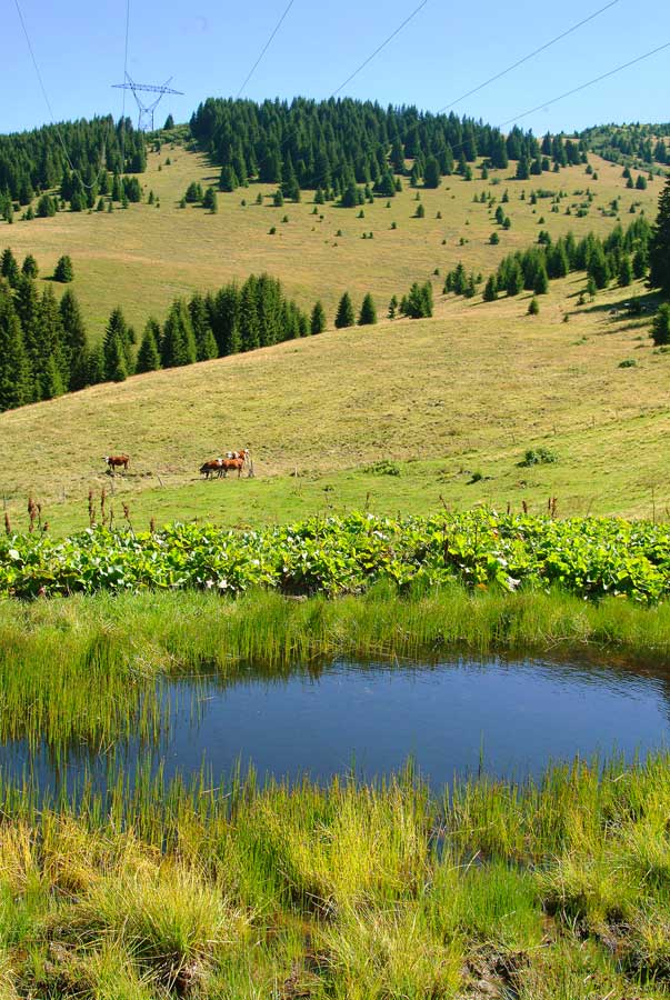 00alpes-lac-7-0804