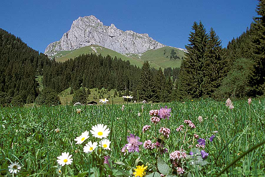 00alpes-paysage-14-e