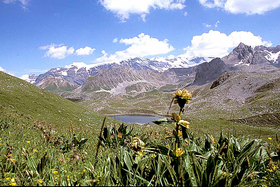 00alpes-paysage-15-e