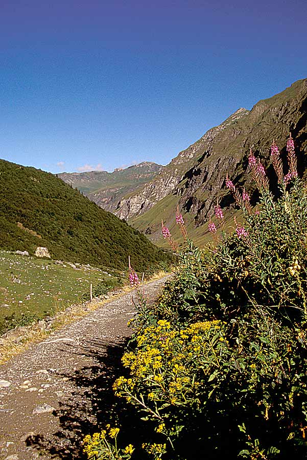 00alpes-paysage-17-e