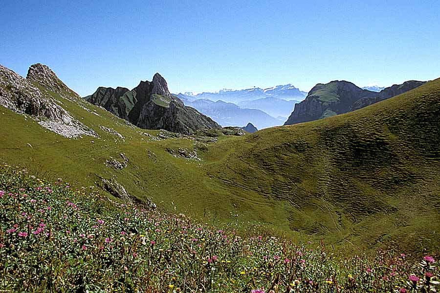 00alpes-paysage-19-e