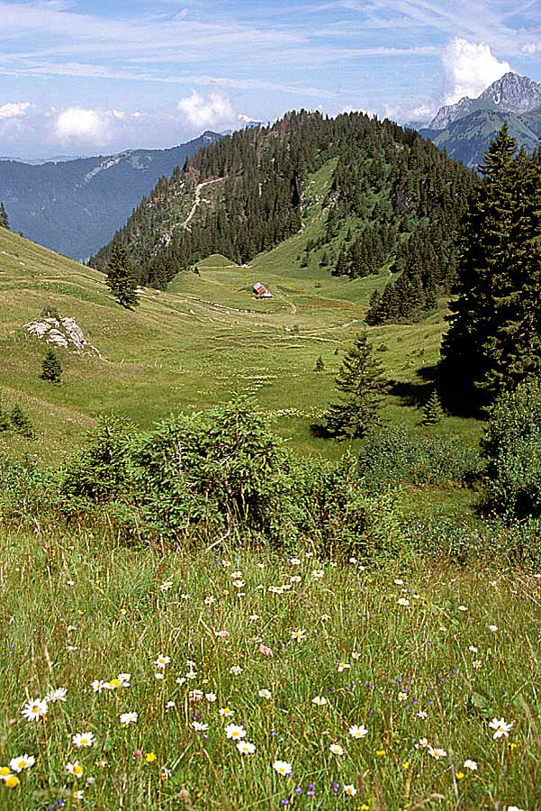 00alpes-paysage-21-e