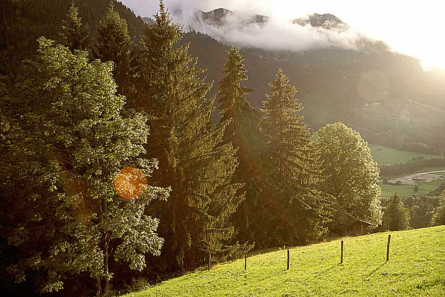 00alpes-paysage-24-e