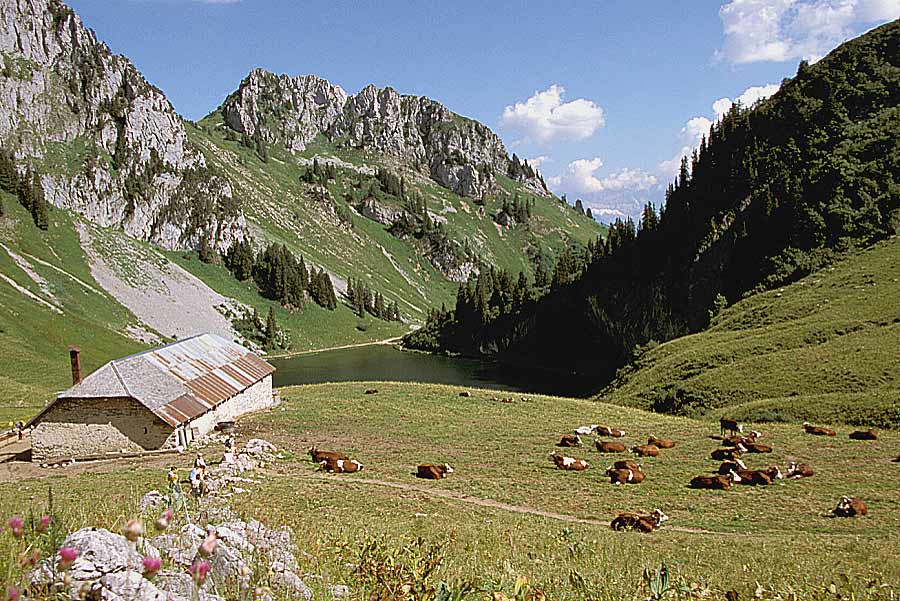 00alpes-paysage-3-e