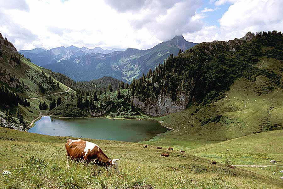 00alpes-paysage-7-e
