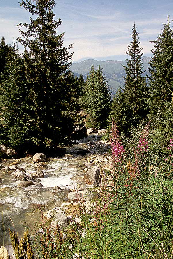 00alpes-riviere-2-e