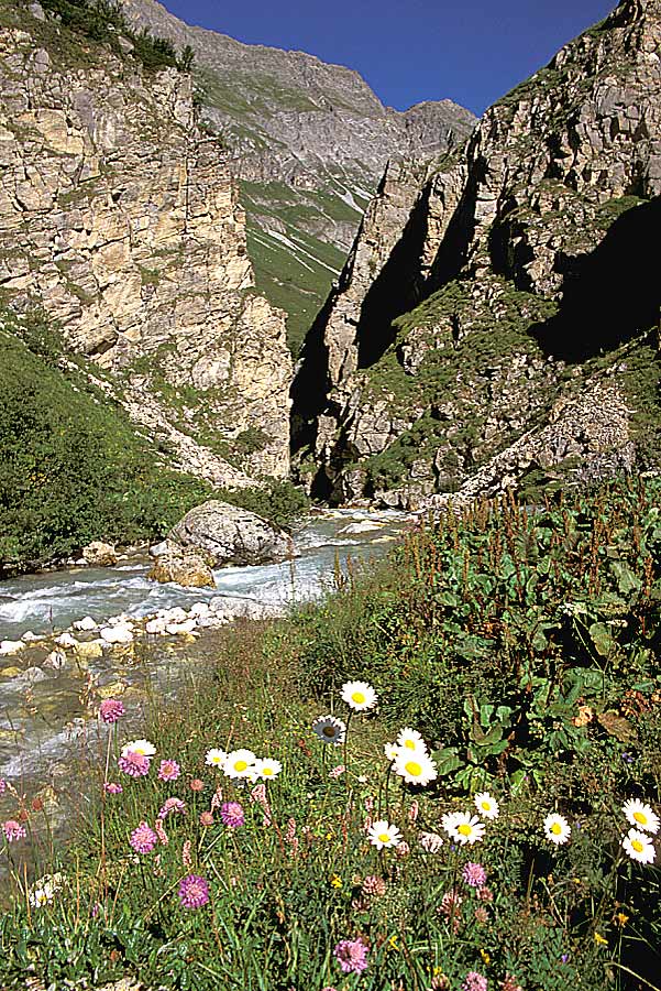 00alpes-riviere-7-e