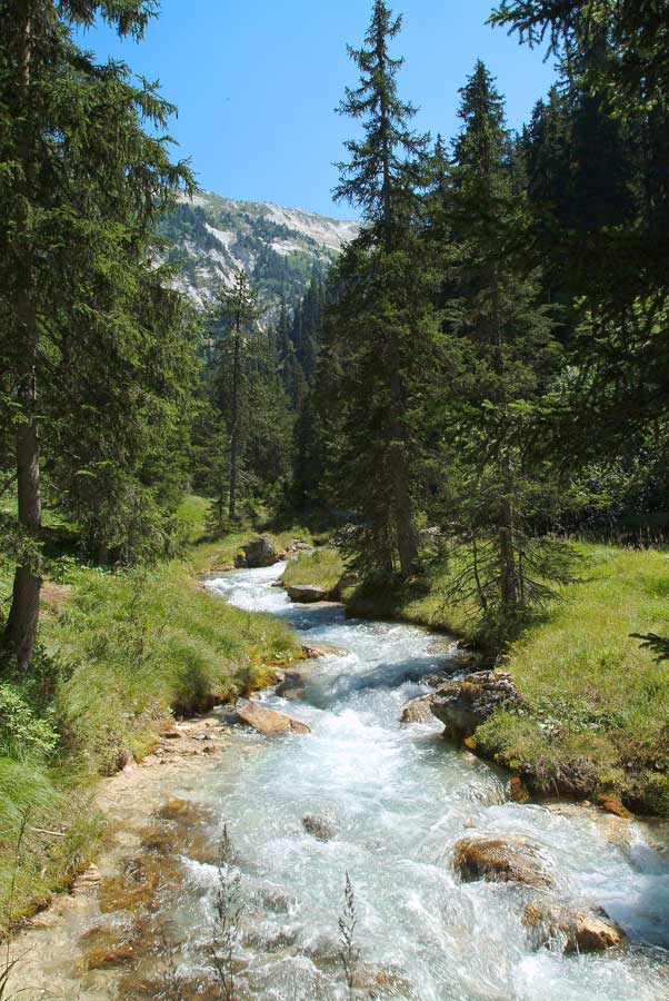 00alpes-torrent-17-0803