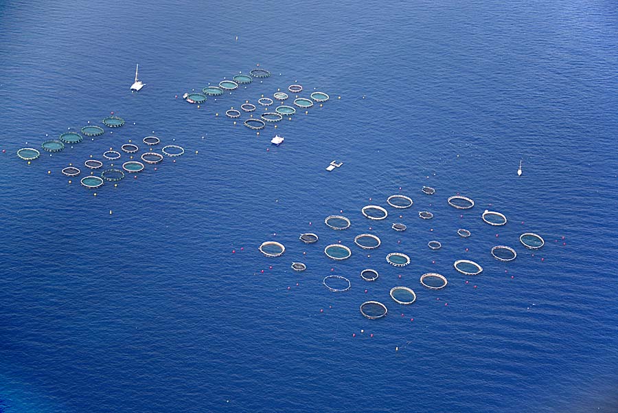 00aquaculture-2-0807