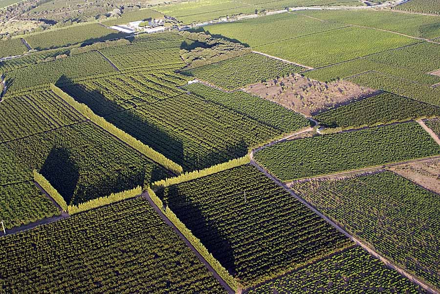 00arbres-fruitiers-2-0707