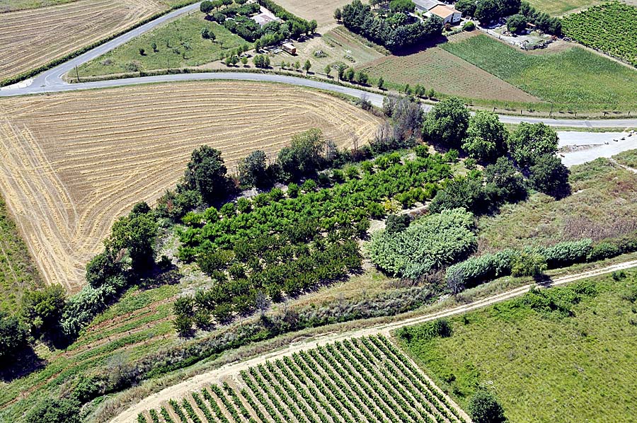 00arbres-fruitiers-6-0708