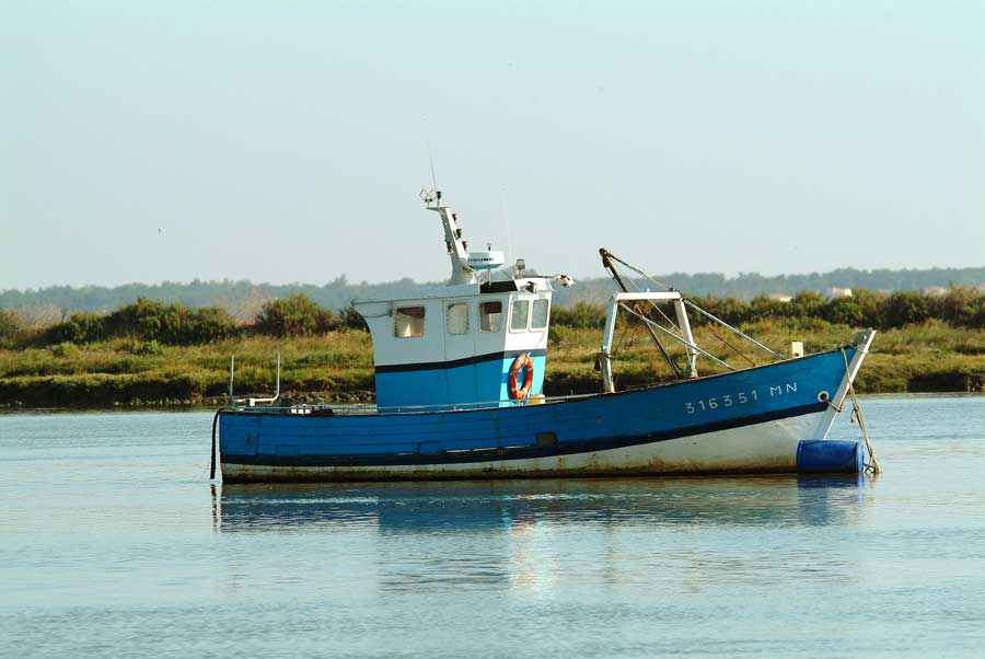 00bateau-peche-2-0803