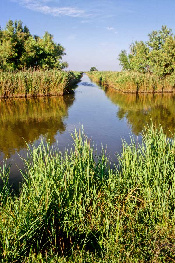 00camargue-3-e
