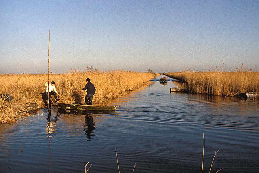 00camargue-4-e