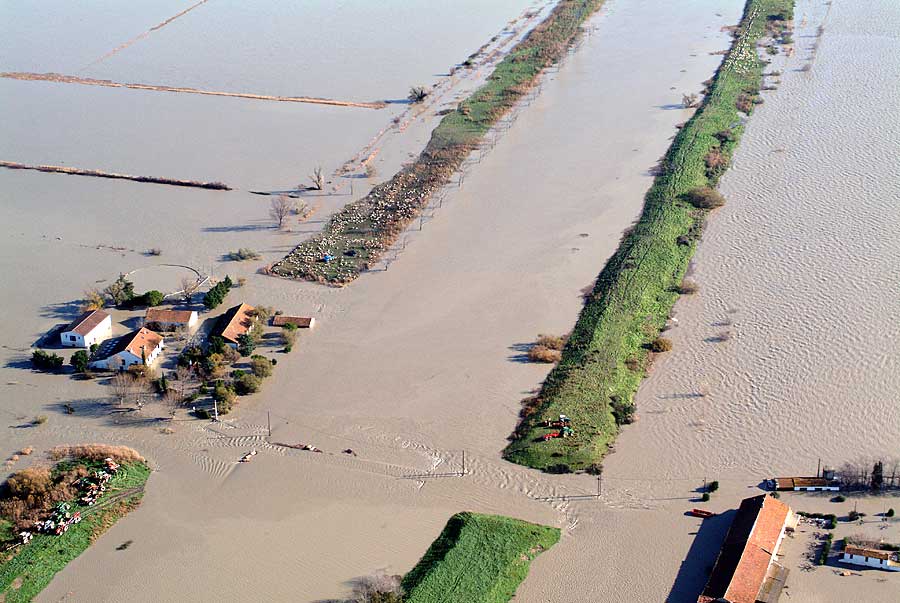 00canal-bas-rhone-6-1203