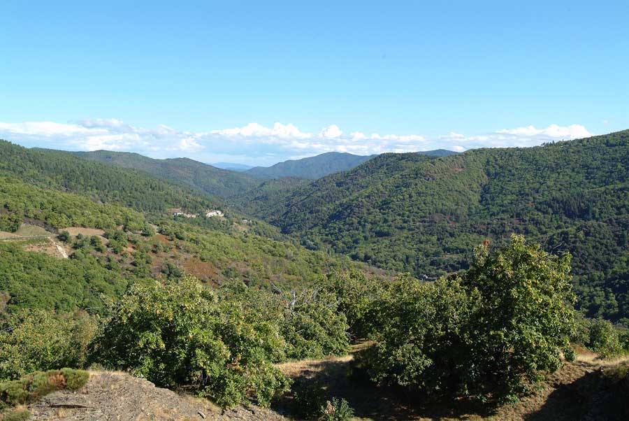 00cevennes-1-0803