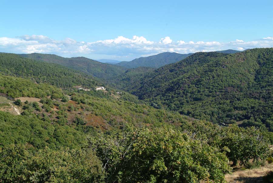 00cevennes-2-0803