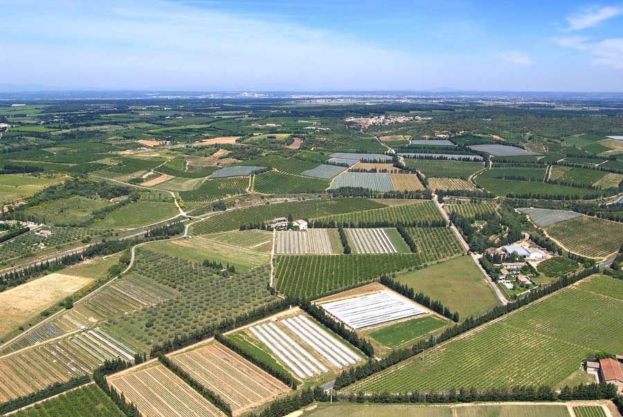 00champ-maraichage-2-0505