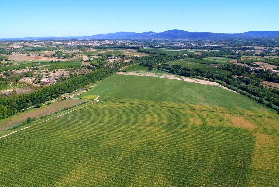 00champs-de-mais-2-0806