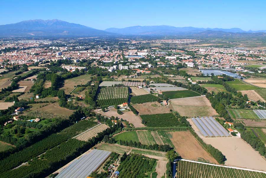 00champs-maraichage-2-0806