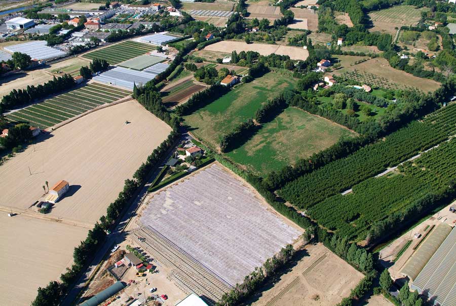 00champs-maraichage-3-0806
