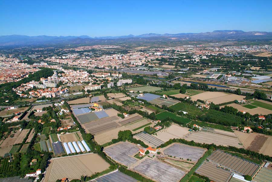 00champs-maraichage-7-0806