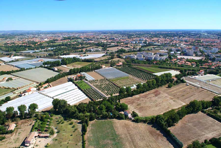 00champs-maraichage-8-0806