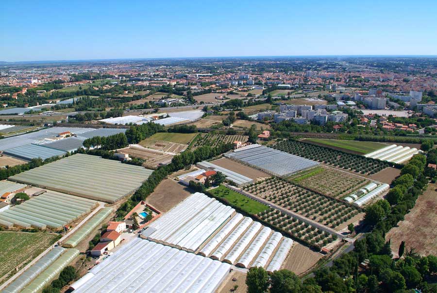 00champs-maraichage-9-0806