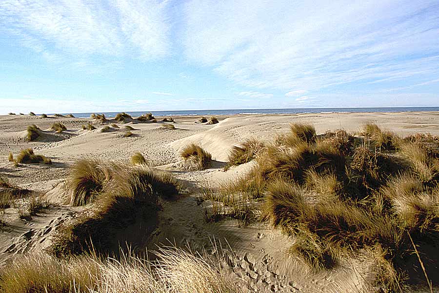 00dunes-11-e