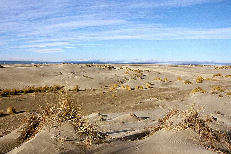 00dunes-12-e