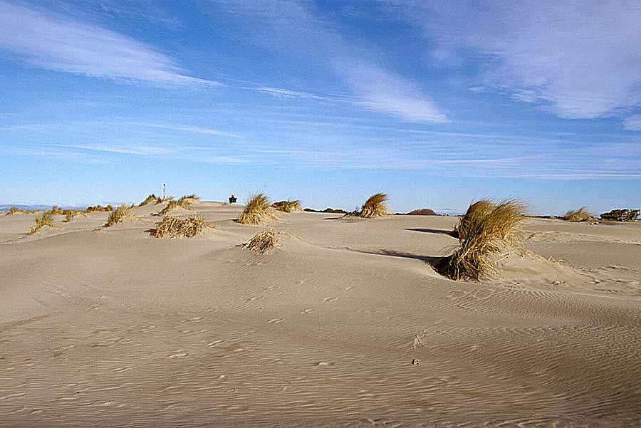 00dunes-15-e