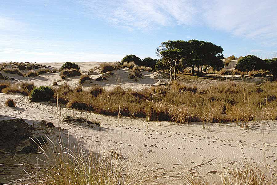 00dunes-18-e