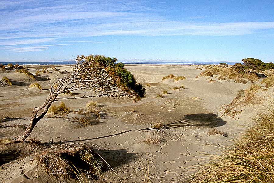00dunes-2-e