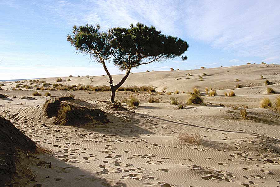 00dunes-20-e
